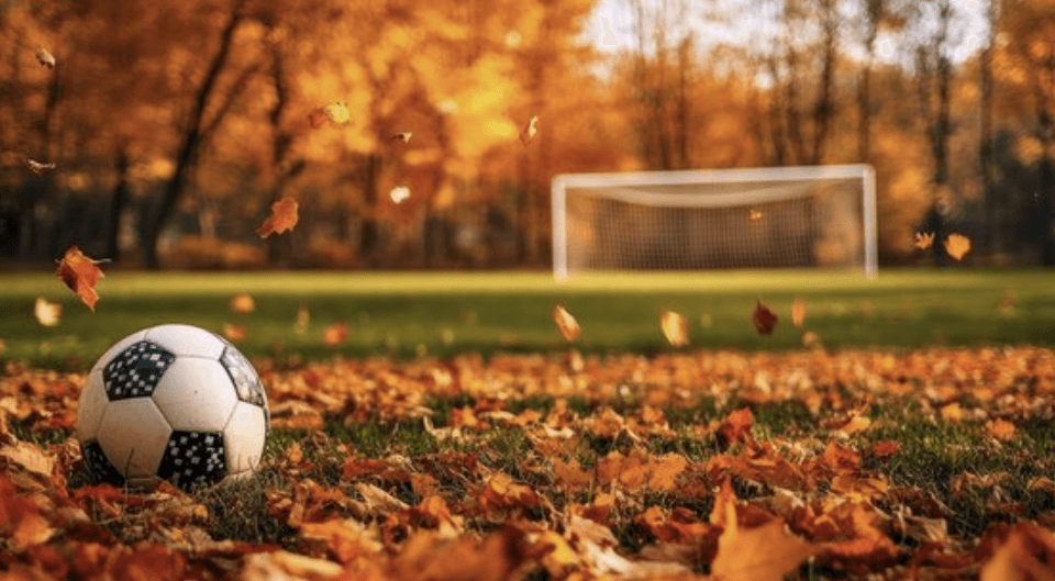 Cover Image for November Memories